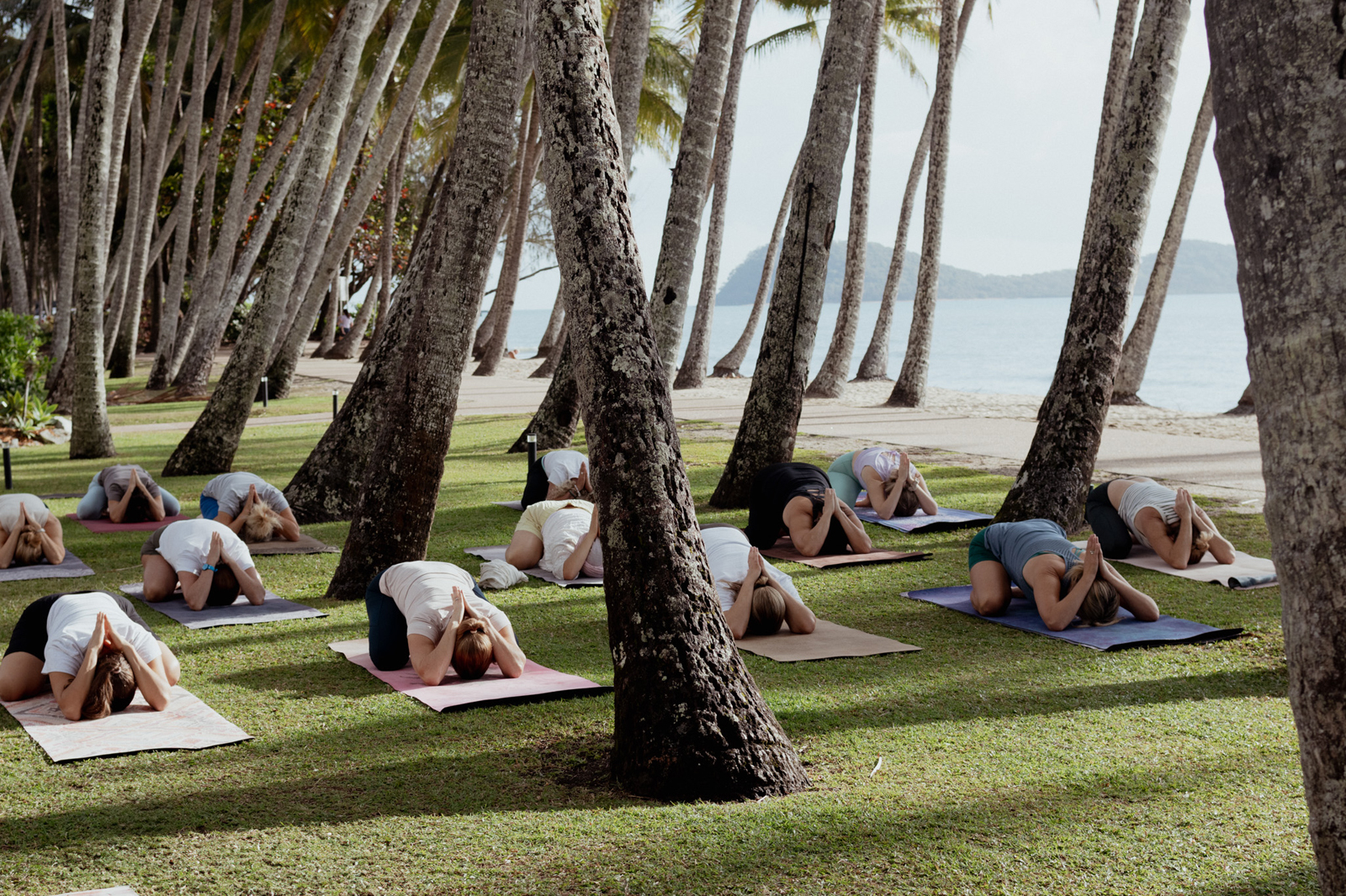 reef-house-wellness-retreats-palm-cove-1_1 A group of people participating in a guided yoga session on a grassy beach area beneath towering