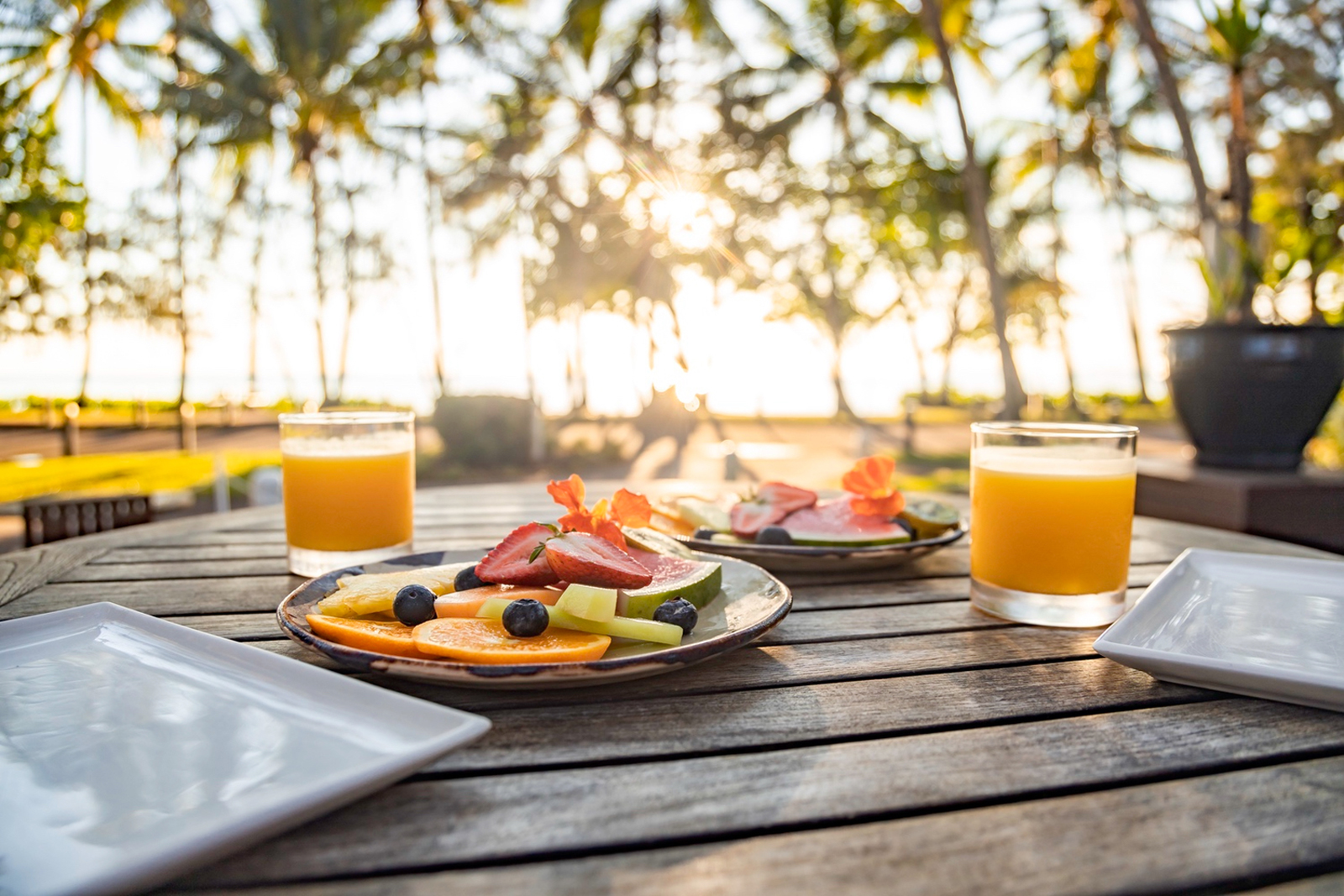 reef-house-wellness-retreats-palm-cove-6 A serene beachfront dining setup at a wellness retreat featuring fresh fruit platters, orange