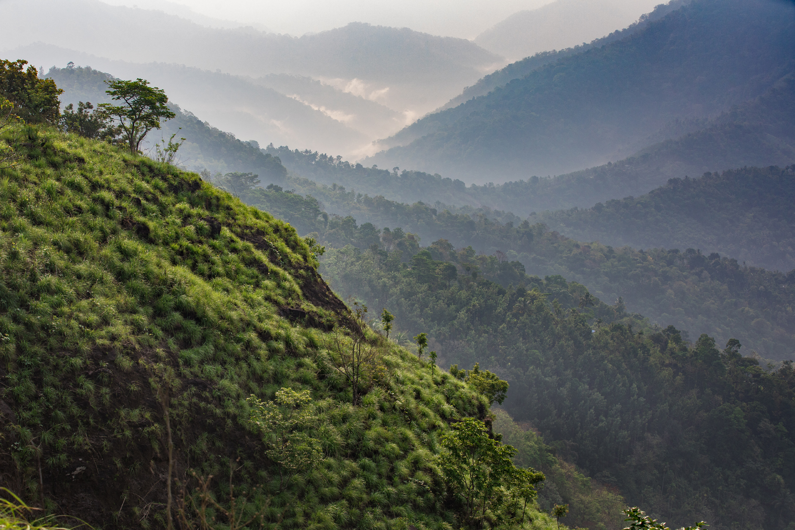 10C Prakriti Shakti, CGH Earth(1).jpg