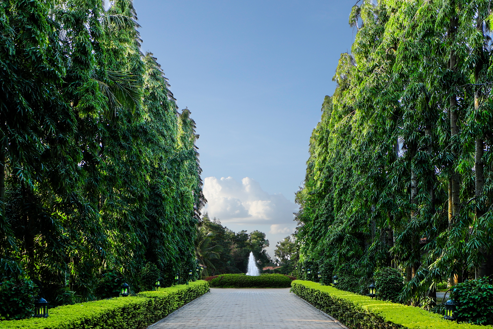 2.-Entrance-Drive 2. Entrance Drive.jpg