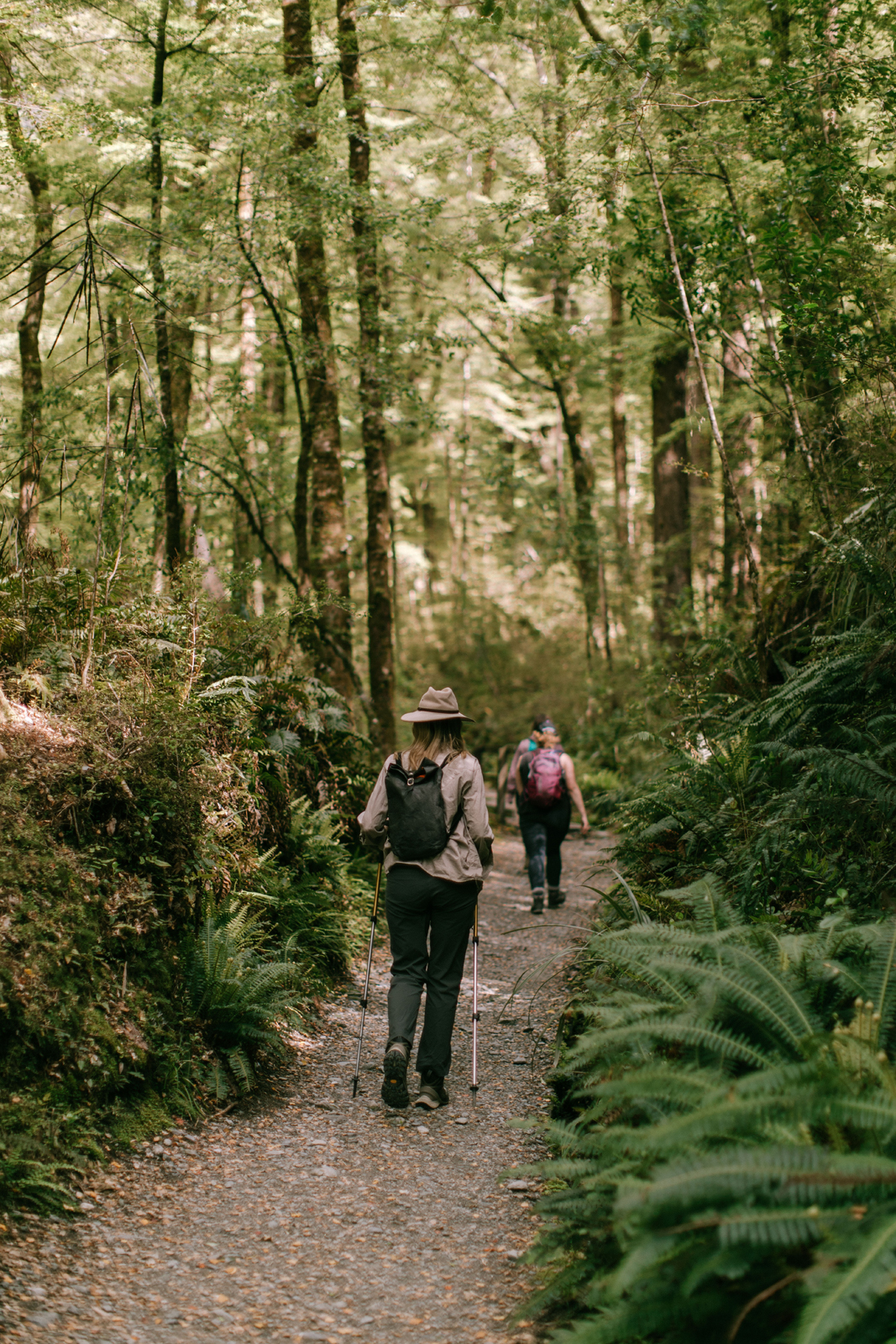 A luxurious swimming pool area with white pergola, lush greenery, and vibrant pink bougainvillea flowers. Guests relax on loungers under white umbrellas in a serene tropical setting.
