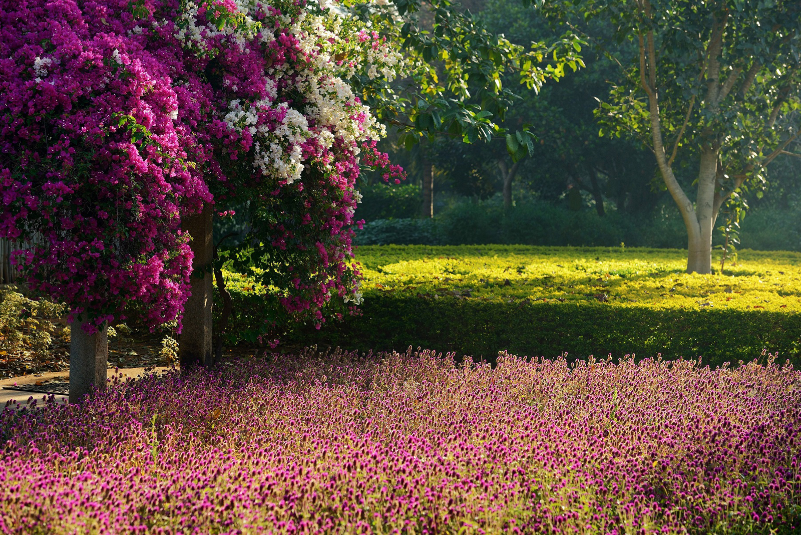 Landscape-1 Landscape.jpg