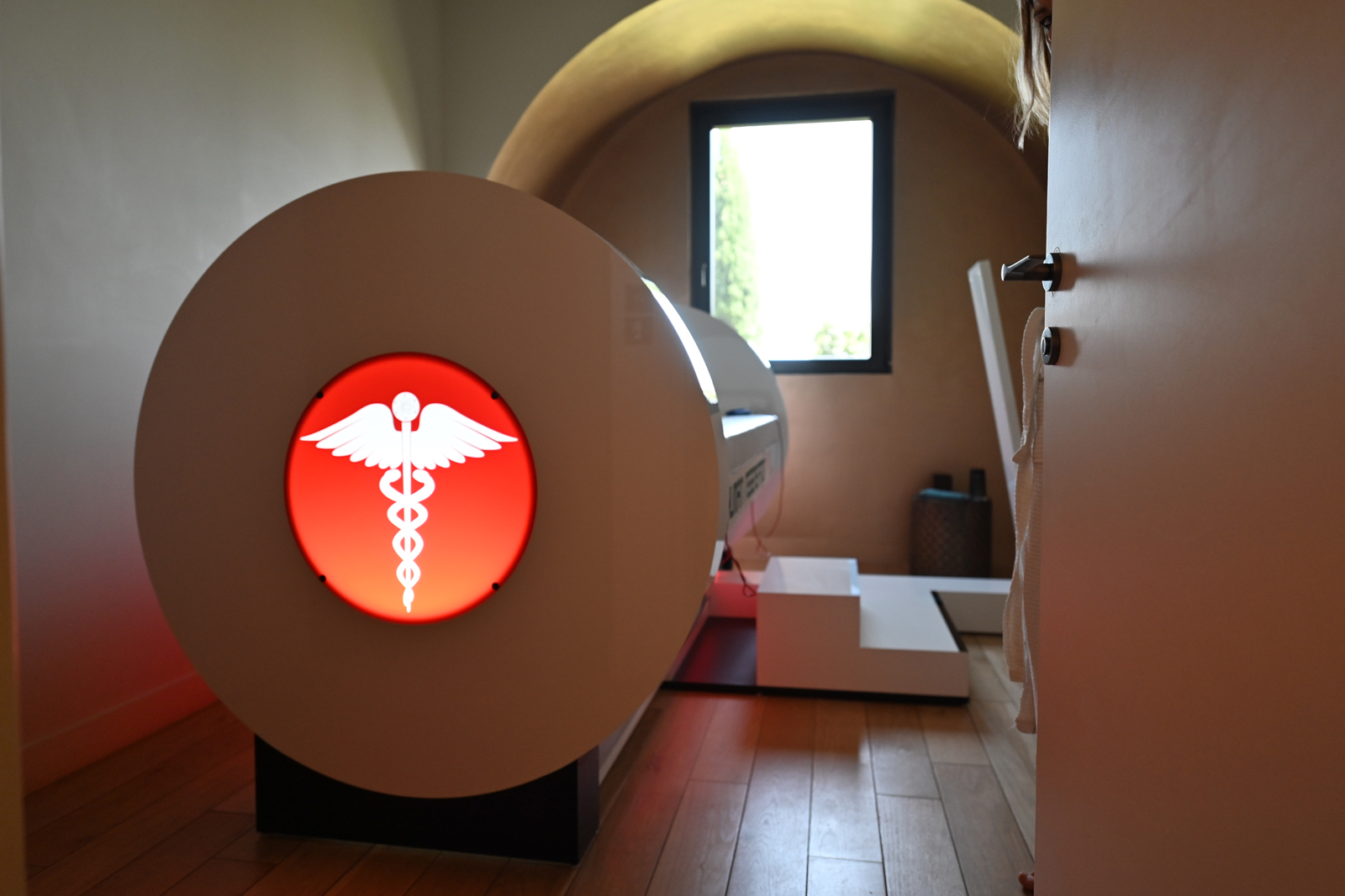 human regenerator 2.jpg